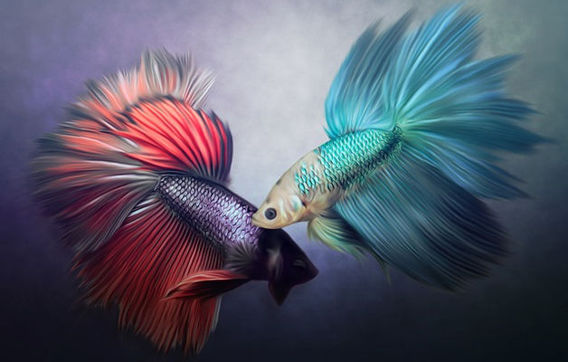 Aquarell, Fische gemalt